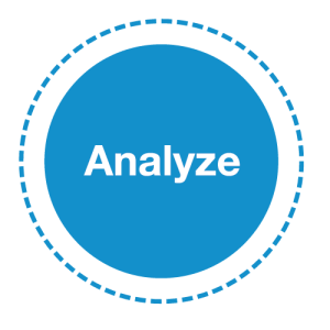 analyze